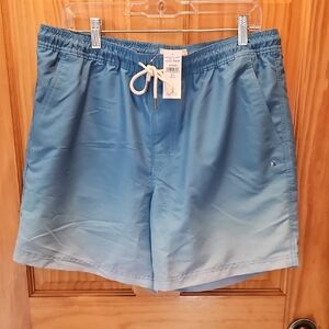 American Eagle Outfitters Light Blue Swim Trunks